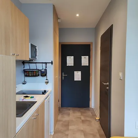 Appartement 74 Rénové Et équipé - Nancy Chru,cesi,fac *