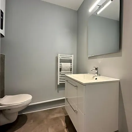 74 Renove Et Equipe - Nancy Chru,cesi,fac Διαμέρισμα