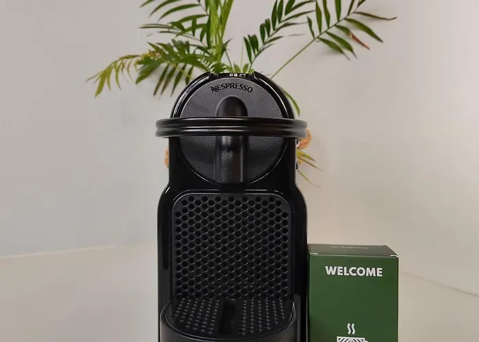 74 Renove Et Equipe - Nancy Chru,cesi,fac 旺德夫尔莱南锡