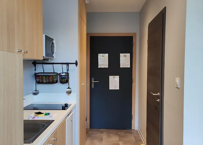 公寓 74 Renove Et Equipe - Nancy Chru,cesi,fac *