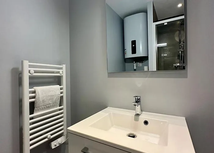 公寓 74 Renove Et Equipe - Nancy Chru,cesi,fac