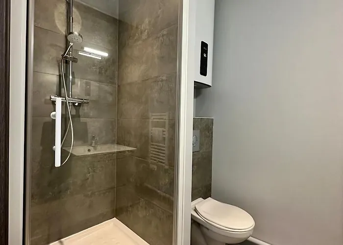 公寓 74 Renove Et Equipe - Nancy Chru,cesi,fac