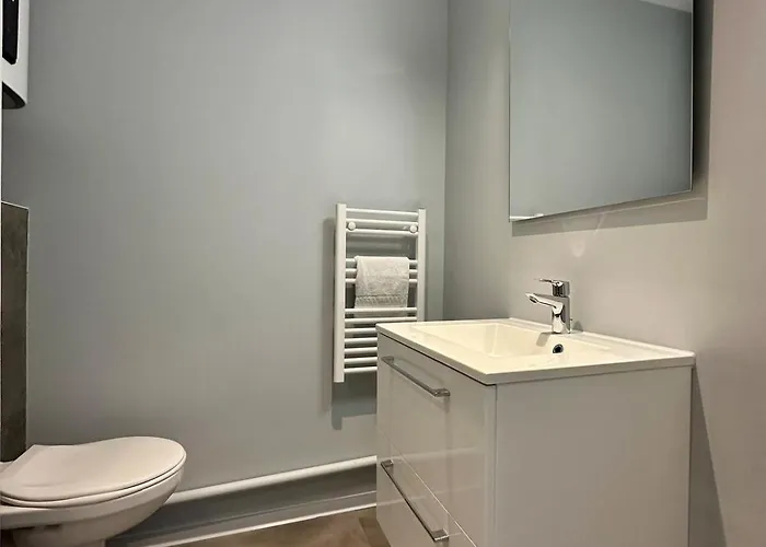 74 Renove Et Equipe - Nancy Chru,cesi,fac 公寓